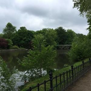 Meet your Posher, Bonnie